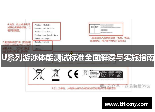 U系列游泳体能测试标准全面解读与实施指南